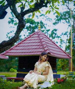 Nelkathir emroiderd cotton saree