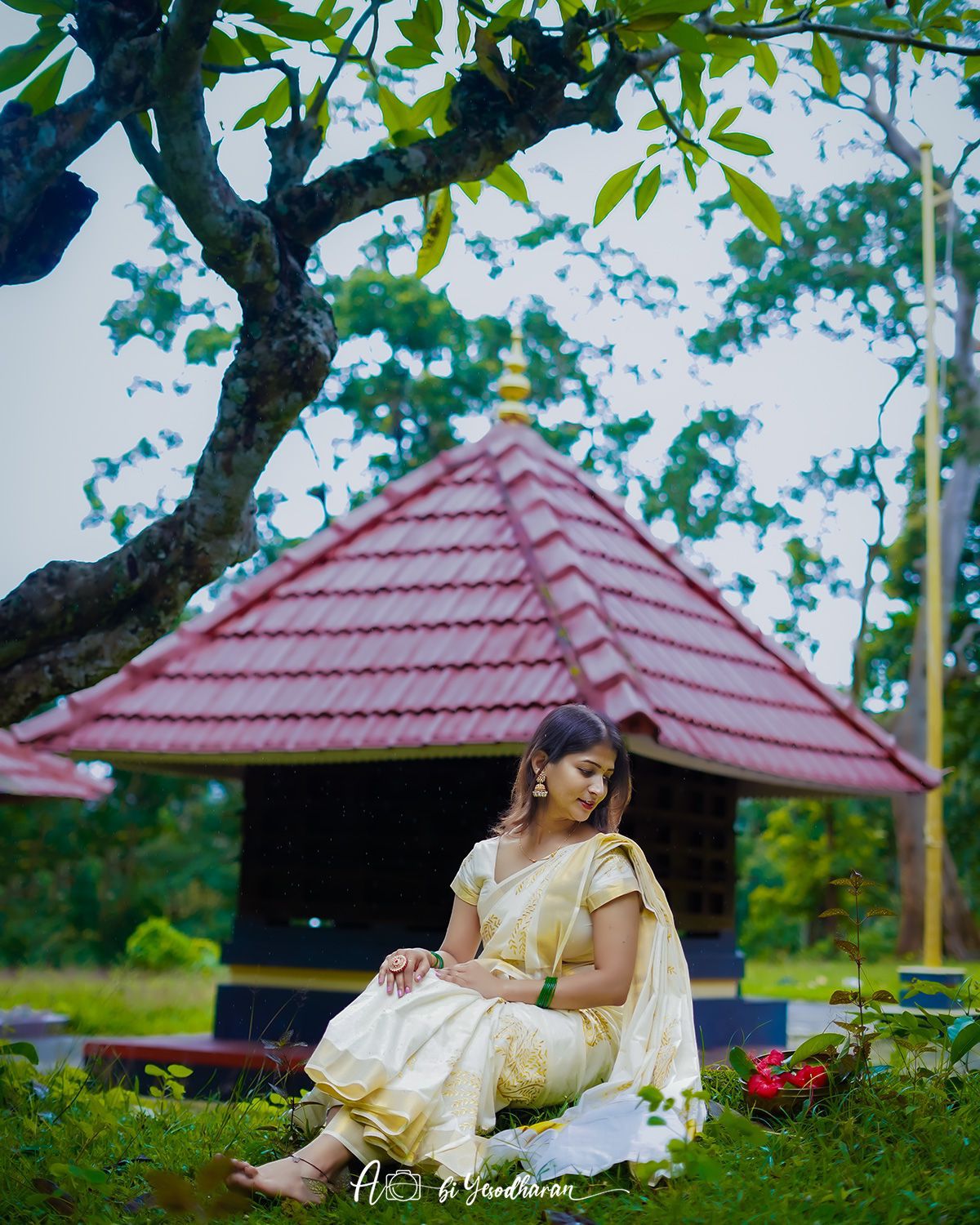 Nelkathir emroiderd cotton saree