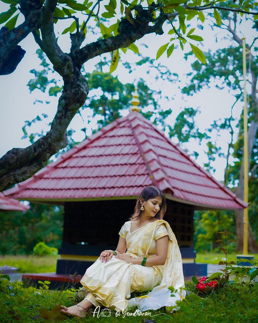 Nelkathir emroiderd cotton saree