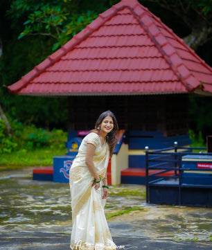 Nelkathir emroiderd cotton saree