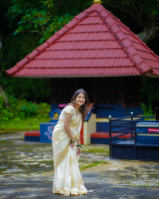 Nelkathir emroiderd cotton saree