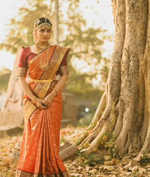 Rust Orange Micro jari checks saree