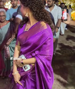 Ana Ben inspired Jari checks saree