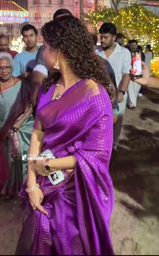 Ana Ben inspired Jari checks saree