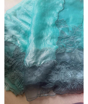 Aloura Premium glass tissue saree