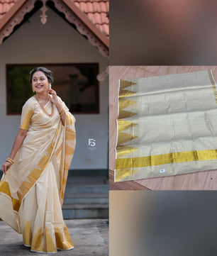 Border temple weave golden tissue saree